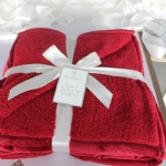 Coral Fleece Blanket with sherpa