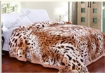 Raschel Printed Blanket