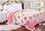 Raschel Printed Blanket